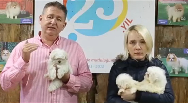 Pati Nin Hikayesi 16 12 2018 Ana Manset